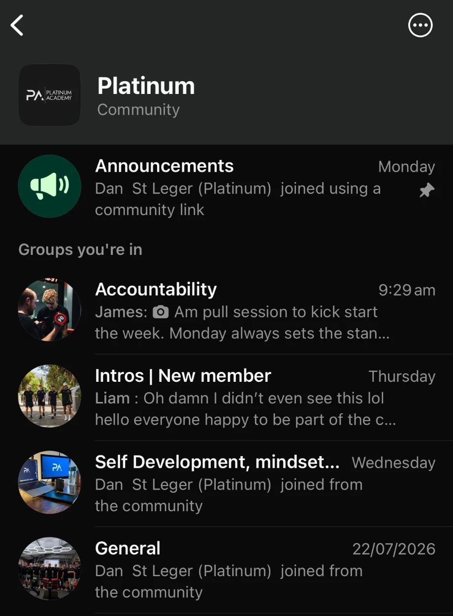 The Platinum WhatsApp community: Announcements, Accountability, Intros | New member, Self Development and mindset, and General groups